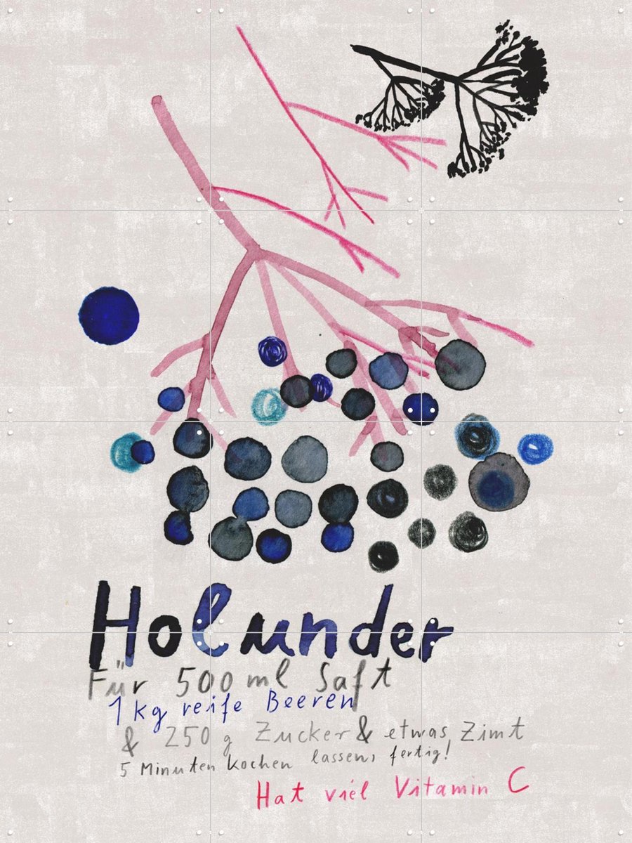 IXXI Holunder, Signorinah - 60 x 80 cm - Gratis ophangtool - Grote wanddecoratie en posters - Illustraties, Speels, Aquarel, Woonkamer, Eetkamer