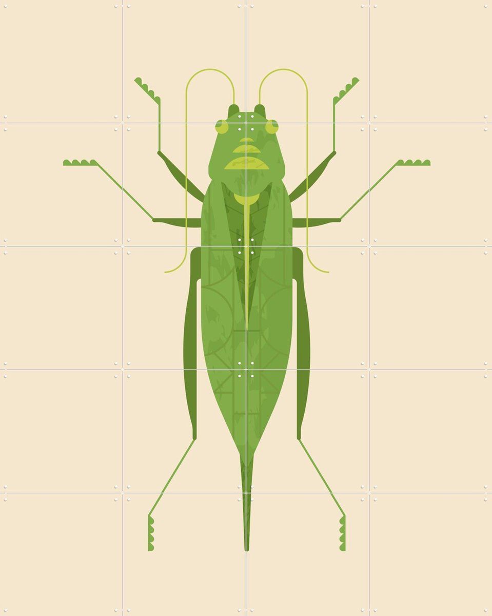 IXXI Large Green Saber Grasshopper, Studio Kars + Boom - 80 x 100 cm - Gratis ophangtool - Grote wanddecoratie en posters - Illustraties, Grafisch