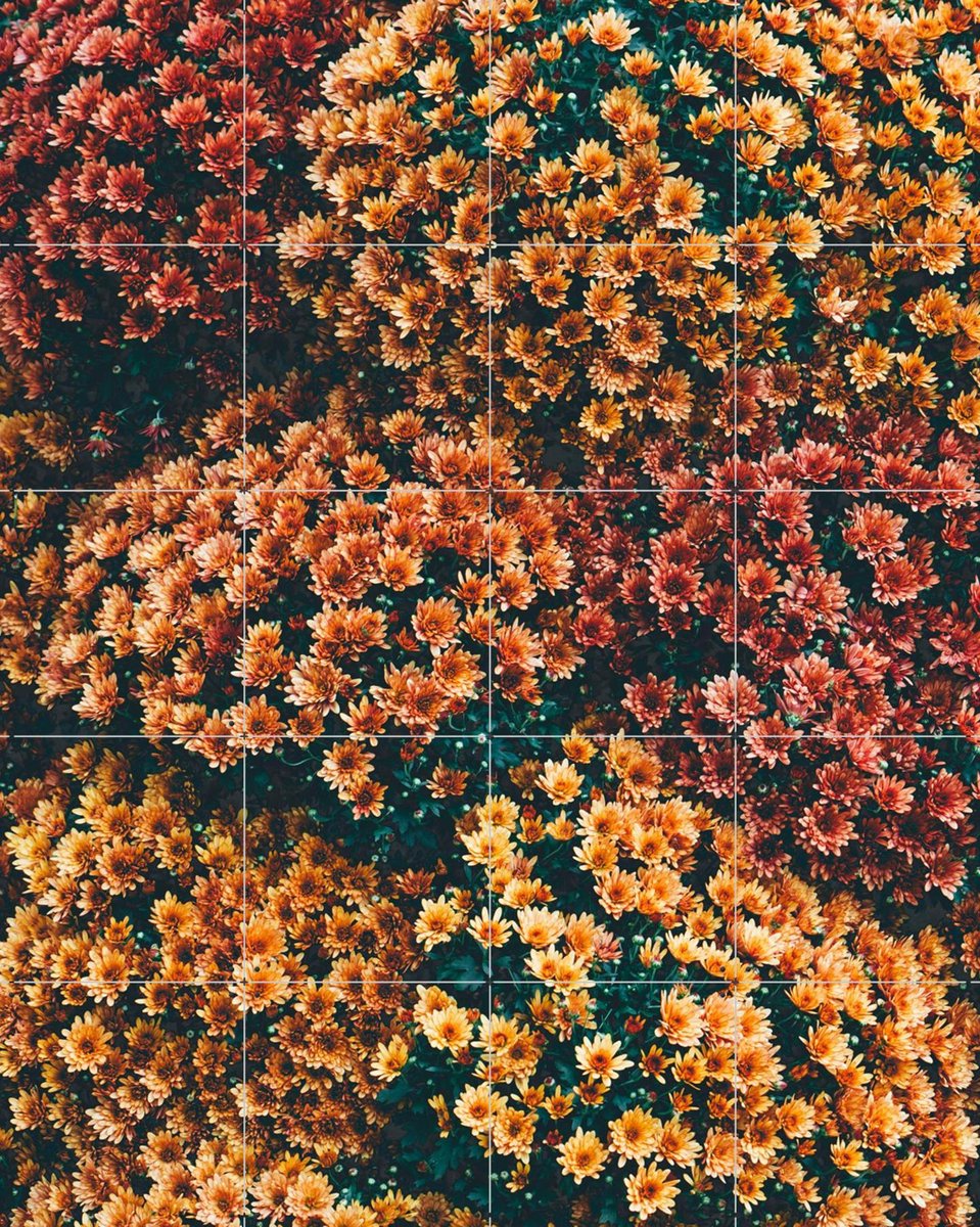 IXXI Autumn Flowers, Pati Photography - 80 x 100 cm - Gratis ophangtool - Grote wanddecoratie en posters - Fotografie, Woonkamer, Eetkamer