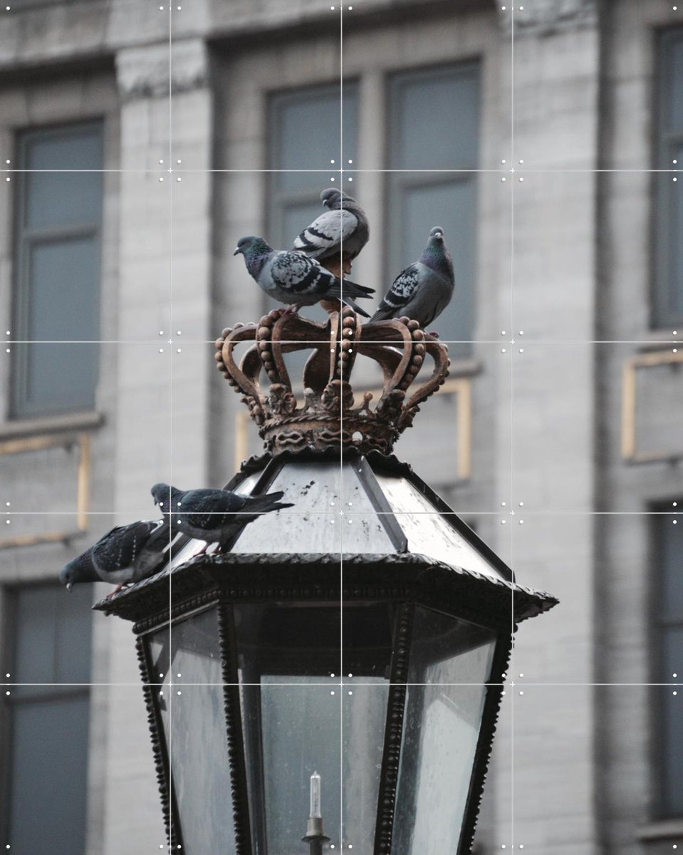 IXXI Doves on Dam Square, Edwin Fotografeert & Kunst in Kaart - 80 x 100 cm - Gratis ophangtool - Grote wanddecoratie en posters - Fotografie