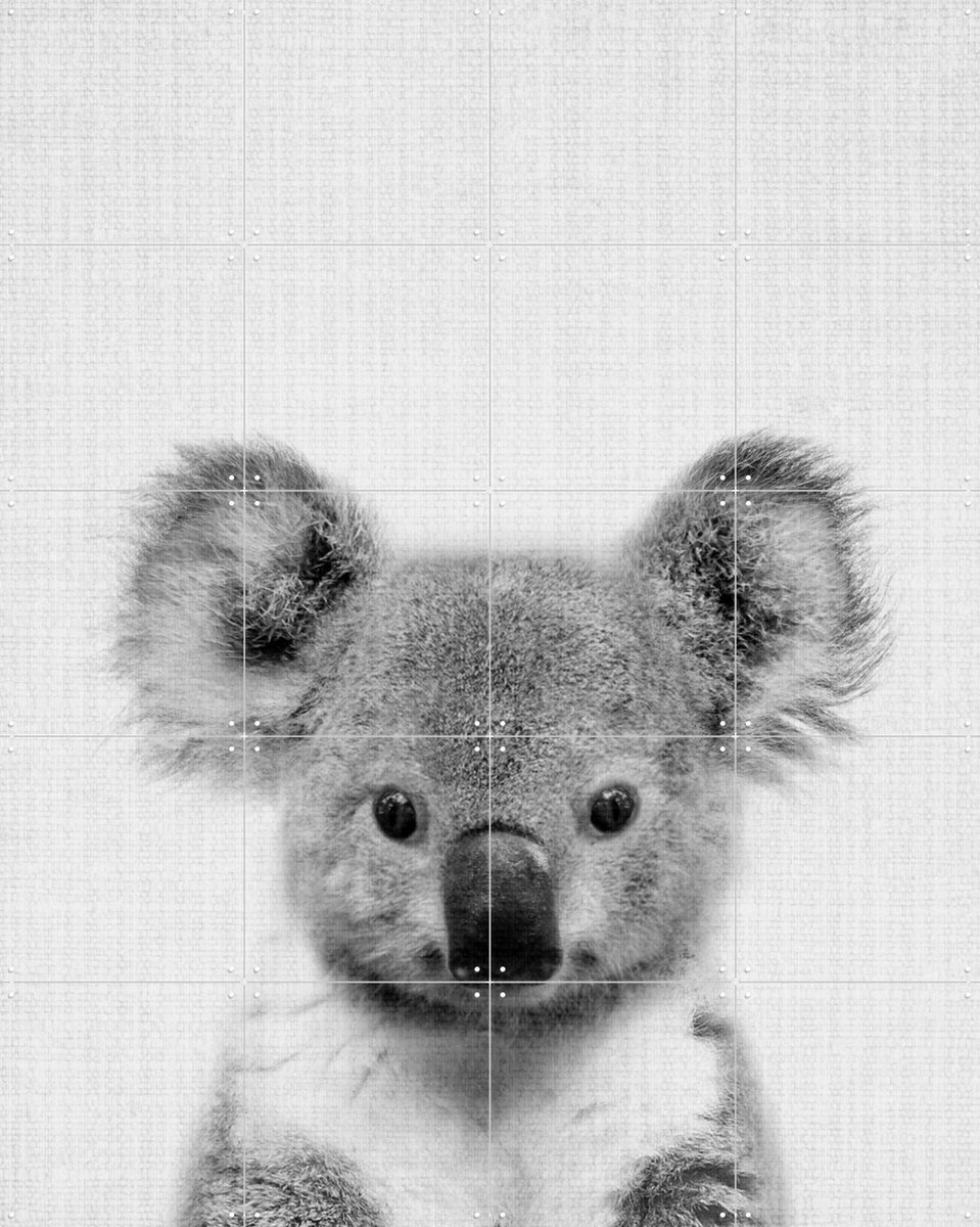 IXXI Print 67 Koala, Lila + Lola - 80 x 100 cm - Gratis ophangtool - Grote wanddecoratie en posters - Minimalisme, Fotografie, Babykamer, Woonkamer