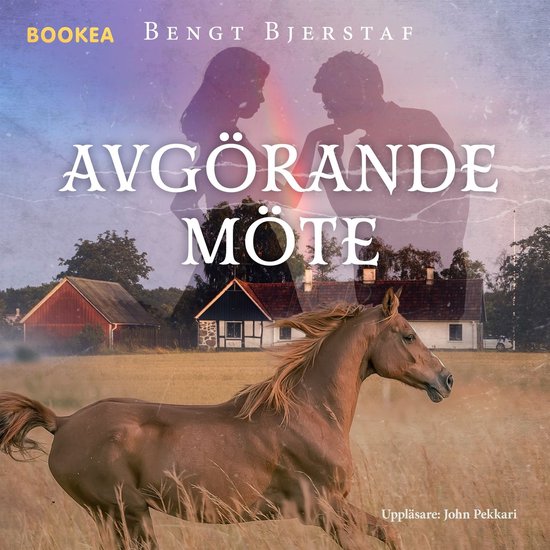 Avgörande möte - cover