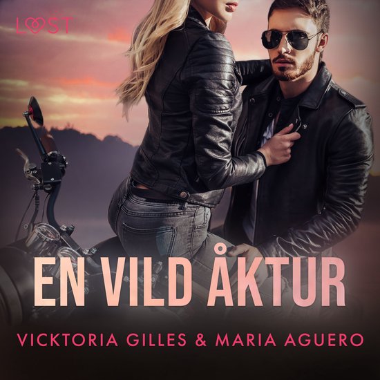 En vild åktur - erotisk romance - cover