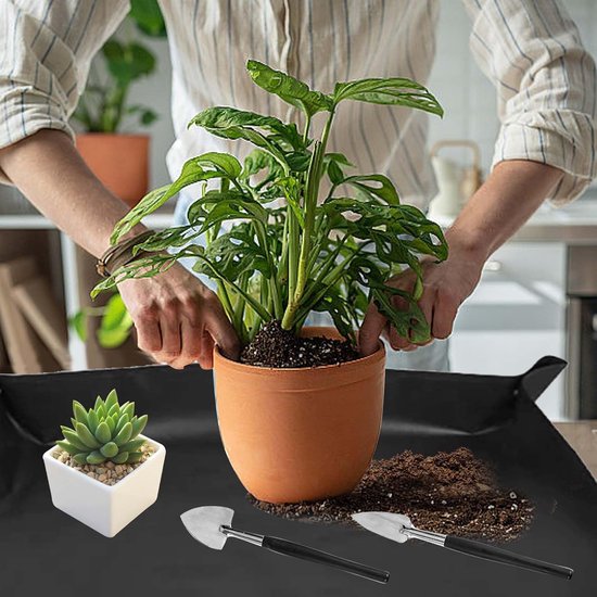 Tuingereedschapsset met opvouwbare tuinmat en mini-gereedschap voor vetplanten — afbeelding 3