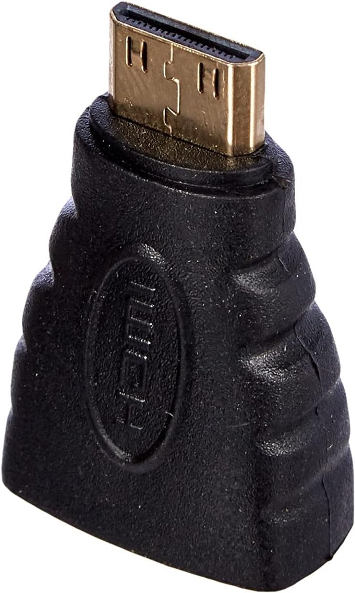 DVI naar HDMI Adapter - Mini HDMI naar HDMI - Zwart