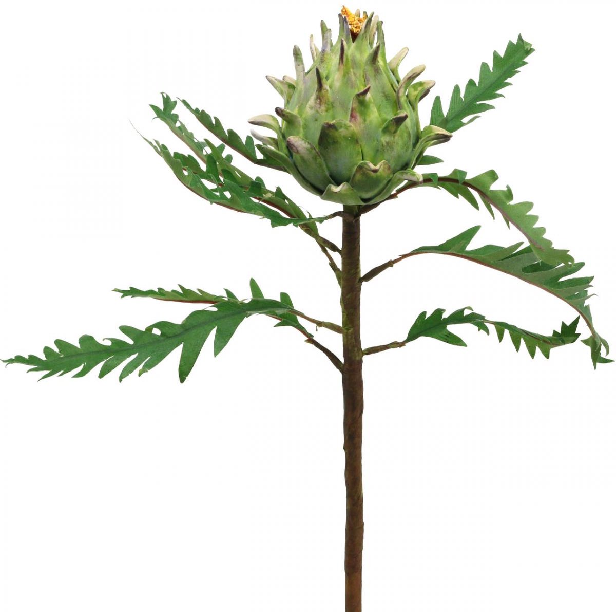 Viana Artisjok Artisjok Groen Deco Herfst Ø7.5cm H43cm groente
