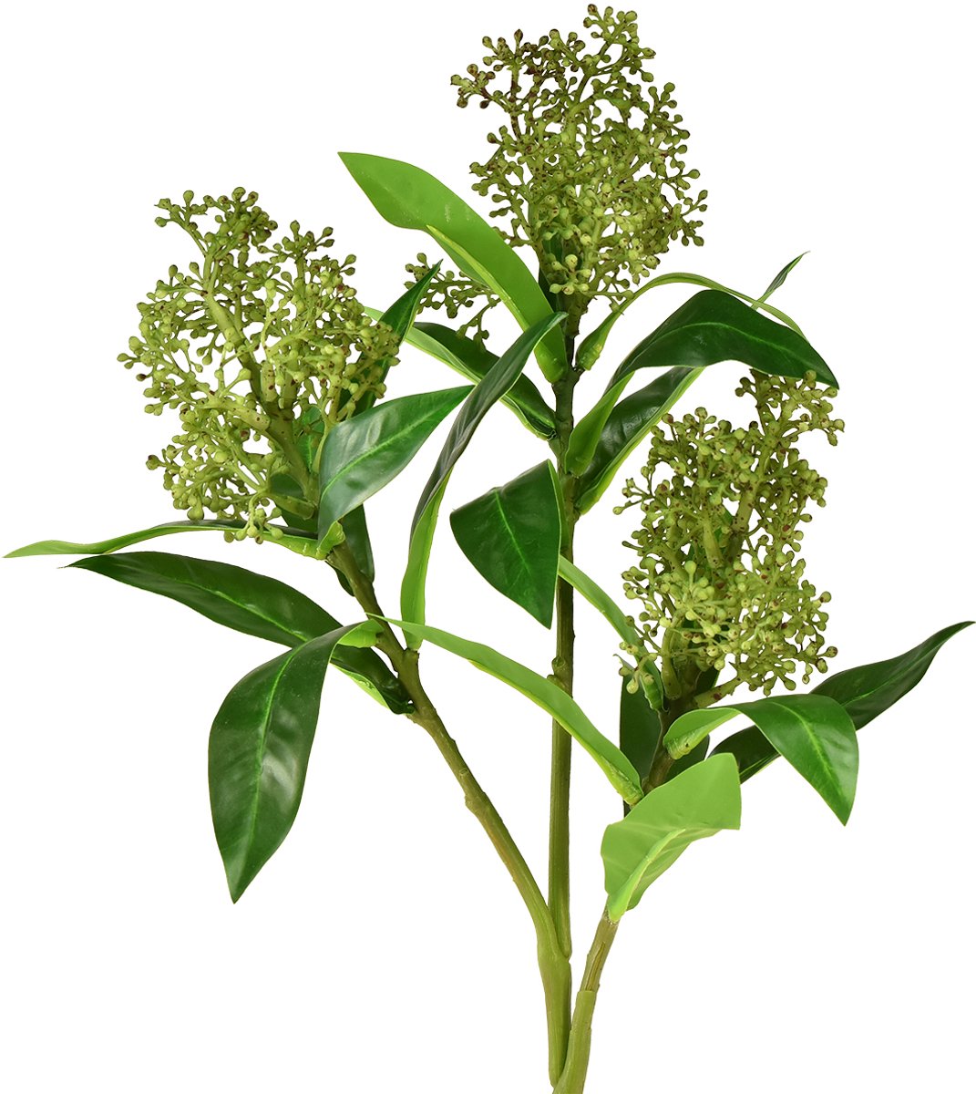 Viana Kunstmatige groene Skimmia japonica bloemen, 45 cm, 2 stuks, 2 Stück groente