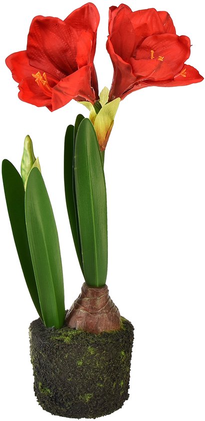 Amaryllis in kunstmosbollen - felrode bloemen, 49 cm - elegante en nat