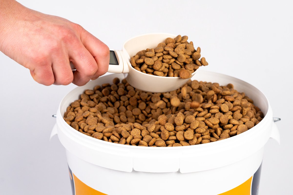 Alldayspetfood Senior hondenbrokken Rijk aan Gevogelte & Rijst 10 Kg | Light