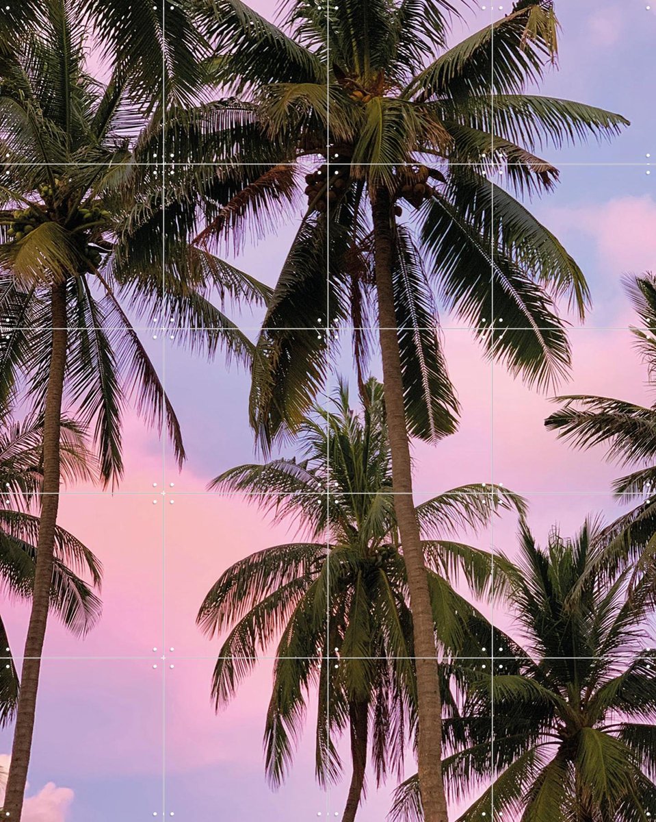 IXXI Palmy Sunrise, We Like Bali - 80 x 100 cm - Gratis ophangtool - Grote wanddecoratie en posters - Kleurrijk, Fotografie, Zomer, Botanisch