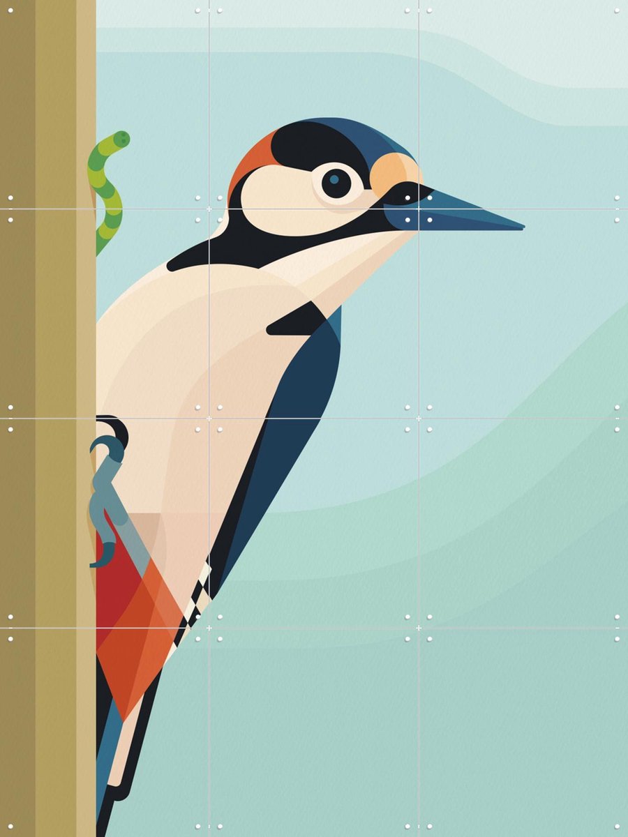 IXXI Bonte Specht, Elke Uijtewaal - 60 x 80 cm - Gratis ophangtool - Grote wanddecoratie en posters - Geometrische Kunst, Kleurrijk, Grafisch Ontwerp