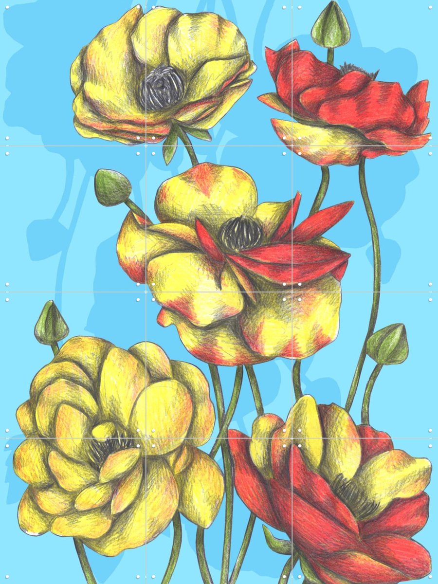 IXXI Buttercups, Cecilia Battaini - 60 x 80 cm - Gratis ophangtool - Grote wanddecoratie en posters - Tekeningen, Illustraties, Slaapkamer, Eetkamer