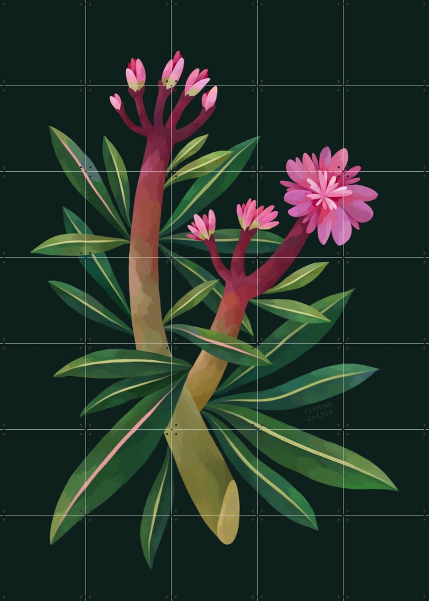 IXXI Oleander, Flaming Garden - 100 x 140 cm - Gratis ophangtool - Grote wanddecoratie en posters - Illustraties, Planten, Botanisch, Bloemen
