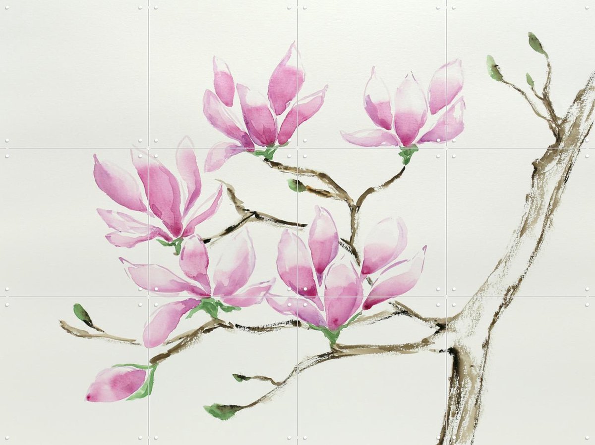 IXXI Magnolia in Bloom, Natalie Bruns - 80 x 60 cm - Gratis ophangtool - Grote wanddecoratie en posters Botanisch, Natuur