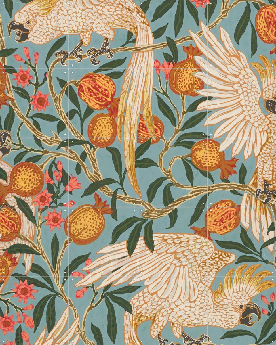 IXXI Cockatoo and Pomegranate, Walter Crane & Victoria and Albert Museum - 80 x 100 cm - Gratis ophangtool - Grote wanddecoratie en posters -
