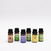 Etherische olie - 100% natuurlijk - gift set van 6 rijke geuren Sandalwood - Tea Tree - Lavendel - Lemongrass - Bergamot - Lemon Eucalyptus. Ideaal voor thuis, op het werk, sportschool, praktijk en auto. Inclusief gemakkelijke bewaardoos