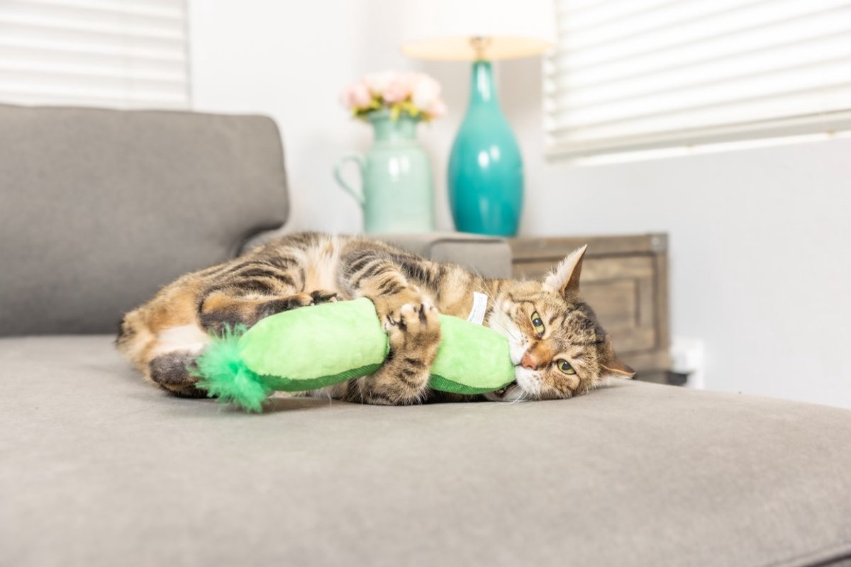 Fringe Studio Kitty Kickers Crinkle Pickle - Kattenspeeltje met Catnip - Pluche Kattenkicker - Met Crinkle - Interactief Katten Speelgoed