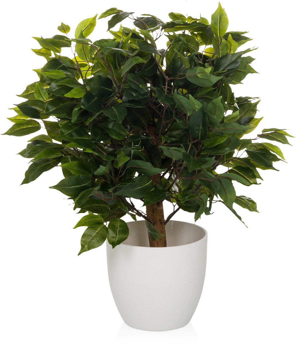 hjh office Kunstplant / kunstboom FICUS II 65 cm groen hjh OFFICE