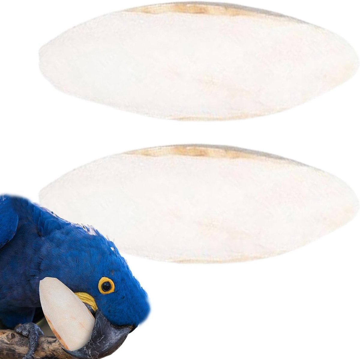 Sepiaschaal Set - Vogelvoer - Snavelonderhoud - Natuurlijk Inktvisbot - 15-20cm