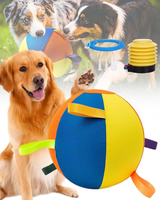 Een gele, oranje en blauwe bal met gekleurde lusjes, in de bek van twee honden. Een golden retriever zit ernaast met een bal voor zich.