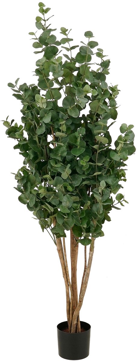 Mica Decorations Eucalyptusboom – Kunstplant in Pot – Realistische Nepplant Woondecoratie – Kunstplanten voor Binnen en Buiten – H175 x Ø90 cm – Groen