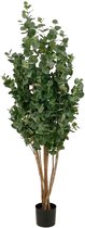 Kunstplant Eucalyptus met groene bladeren en bruine stelen in een zwarte pot op witte achtergrond.