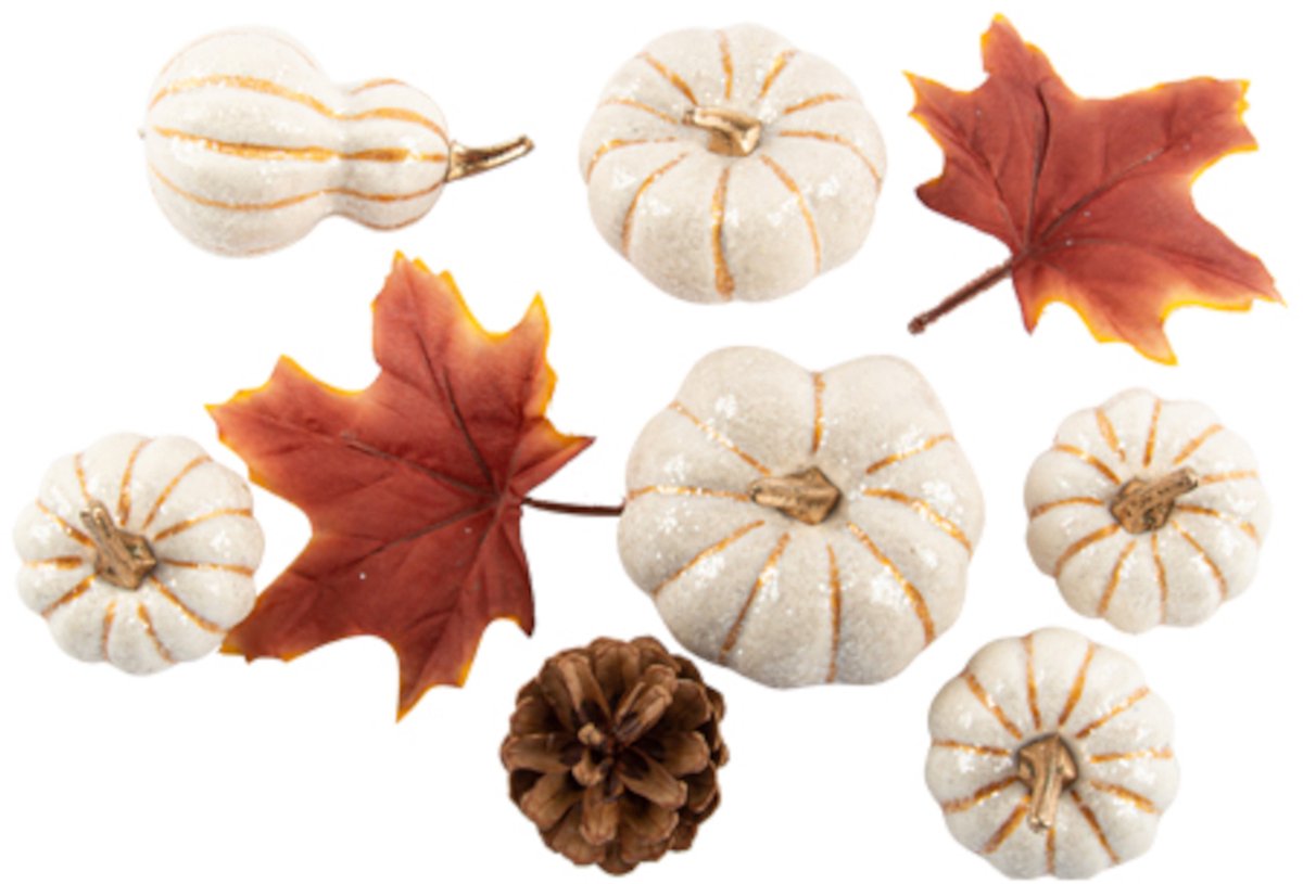 ARTYFETES - Set van 9 herfstdecoraties witte pompoenen en bladeren