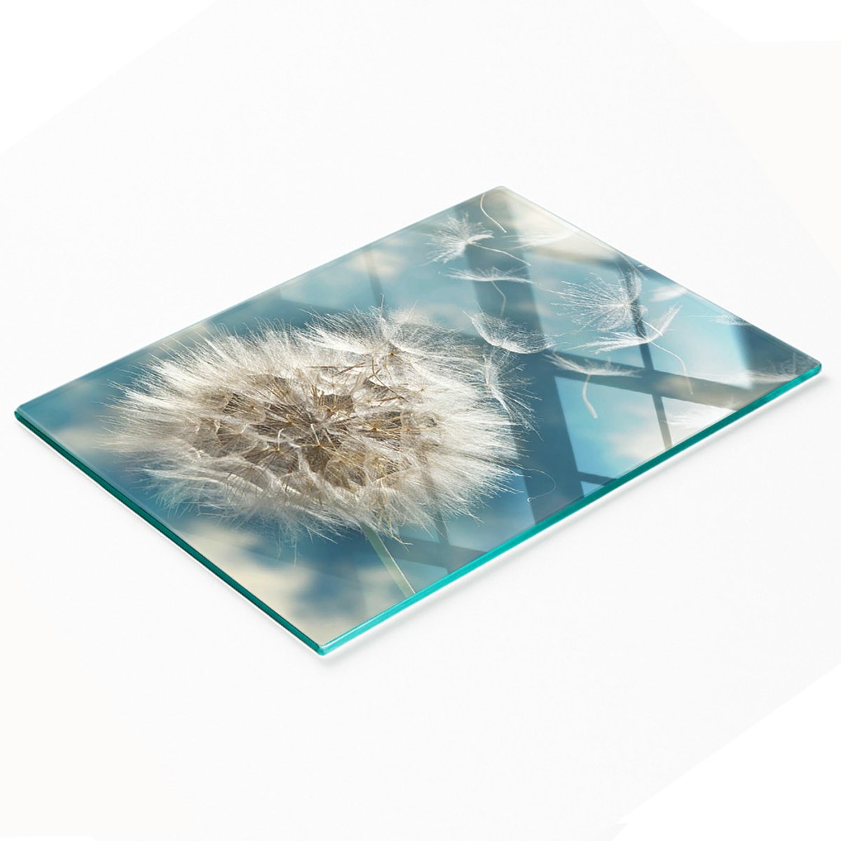 Keukenplank van gehard glas met decoratieve paardenbloemafbeeldingen, 80x52 cm