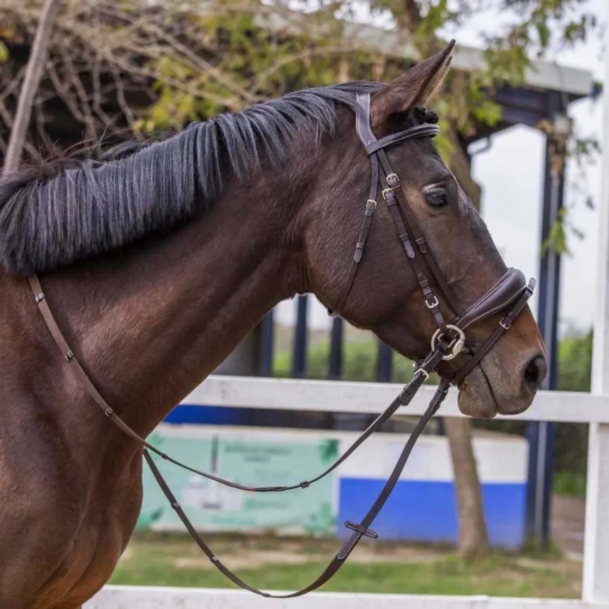 Marjoman Distribucion Ergonomic Snaffle Padded Noseband Hoofdstellen Bruin Full
