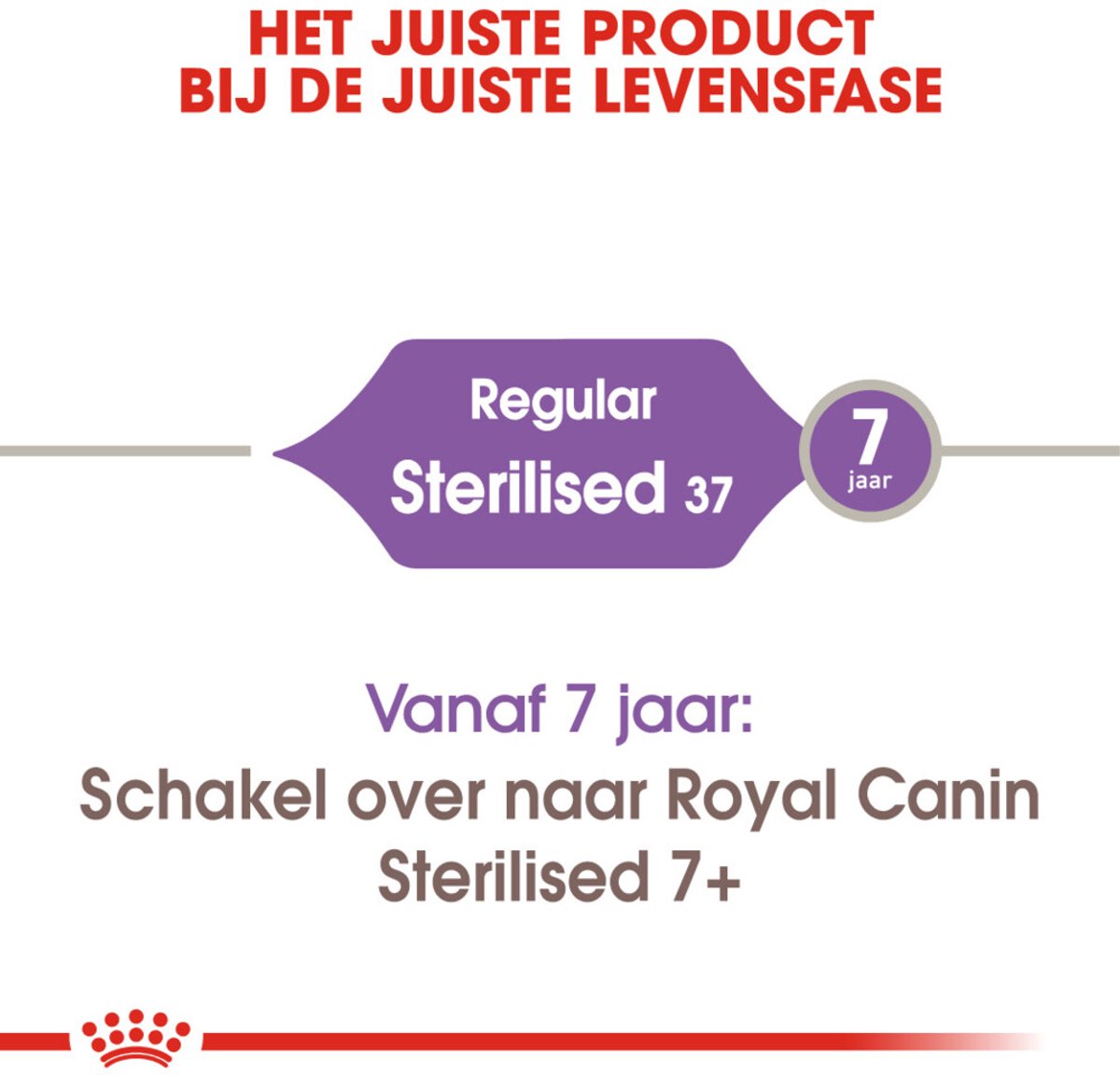 Royal Canin Sterilised 37 kattenvoer - 6 x 2 kg thumbnail 4