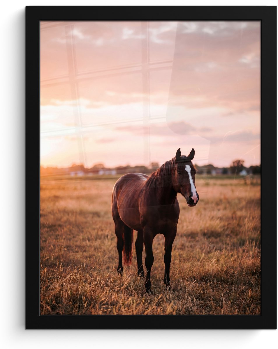 FrameYourWall Poster in lijst - Fotolijst 30x40 cm - Posters - Paard - Zonsondergang - Bruin - Posterlijst zwart - Decoratie - Wanddecoratie woonkamer - Muurdecoratie slaapkamer Multicolor