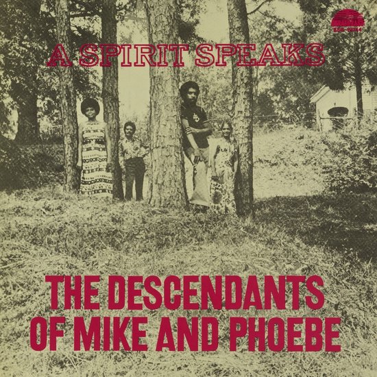 Albumhoes "A Spirit Speaks" van The Descendants of Mike and Phoebe. Vier mensen staan bij bomen in een bosrijke omgeving.