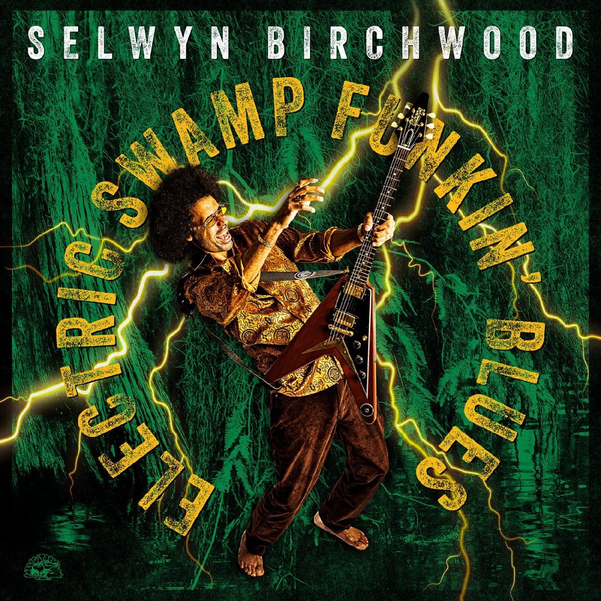 Electric Swamp Funkin' Blues
