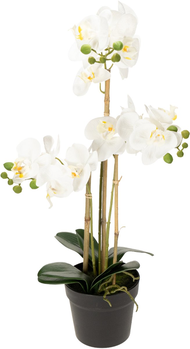 Viana Kunstmatige orchidee in een pot voor een harmonieuze sfeer, wit, 60 cm