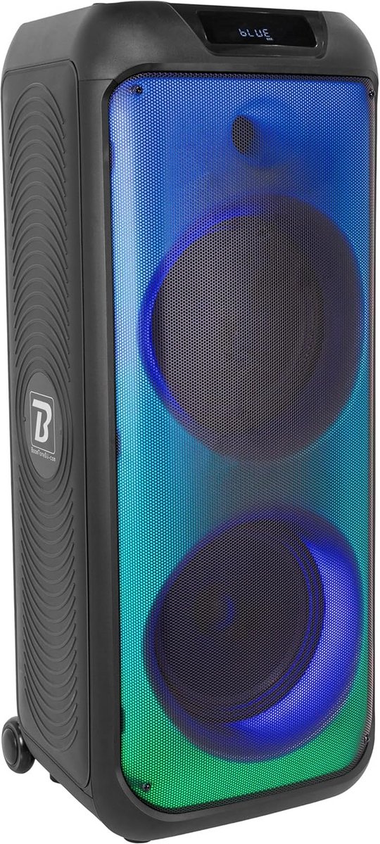 Draagbare Actieve Party Speaker 900W met Lichteffecten en Oplaadbare Batterij