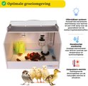 Product afbeelding  7