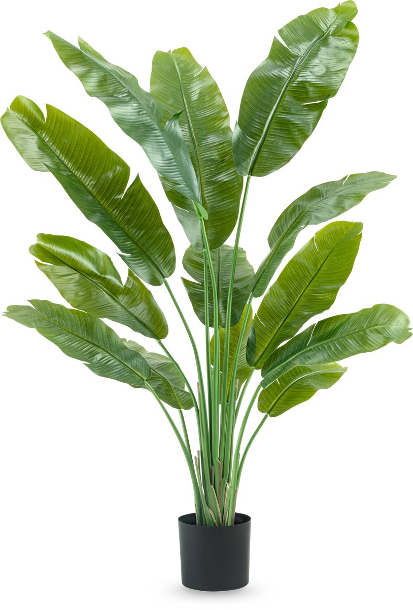 Easyplants | Kunstplant Strelitzia Nicolai Deluxe 165 cm | Zijde | Strelitzia | Groen