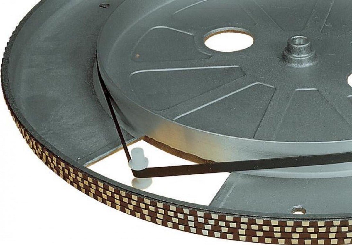 Aandrijfriem Draaitafelplatenspeler 205 mm Breed Voor DJ Apparatuur