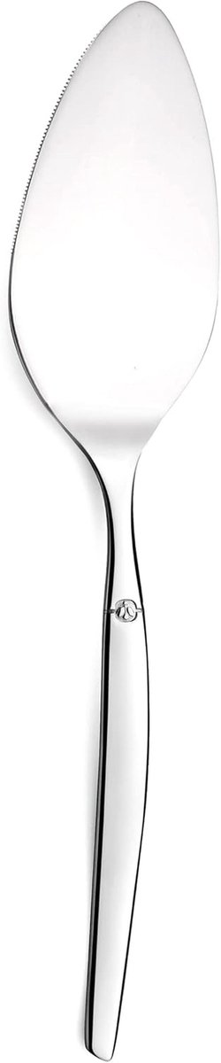 Roestvrijstalen taartschep Jet Mirror - modern design met spiegelafwerking