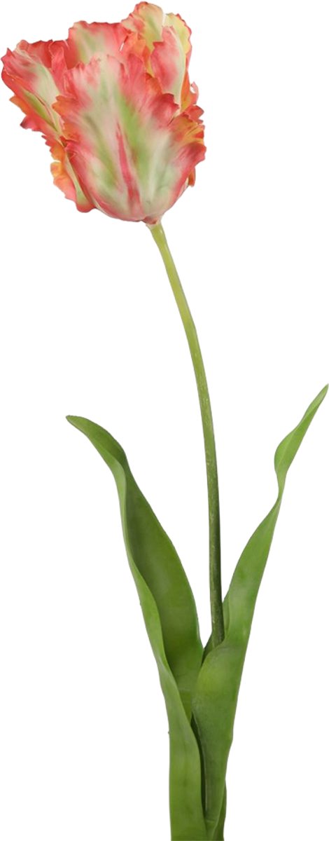 Viv! Home Luxuries Tulp Papegaai - zijden bloem - koraal groen - 69cm