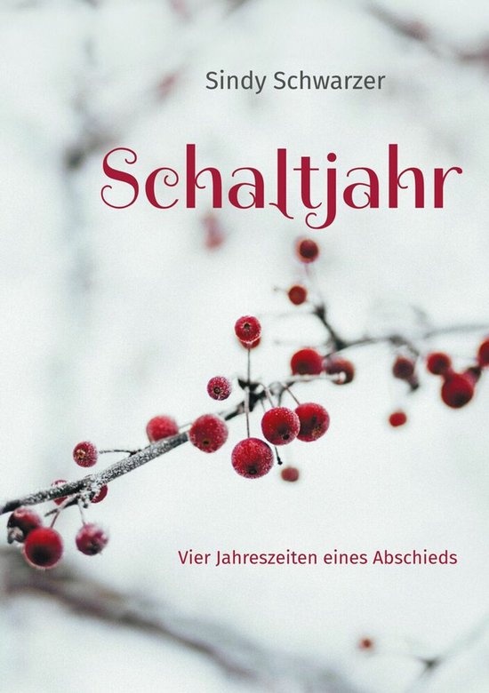 Schaltjahr - cover
