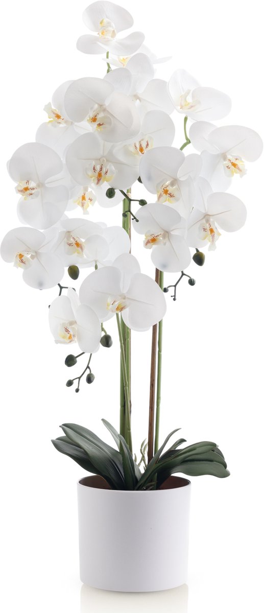 Meisterhome Kunstorchidee 80 cm – Realistische Phalaenopsis Orchidee – Bloeiende Kunstplant – Onderhoudsvrij – Witte Bloemen – Luxe Kamerplant in Pot