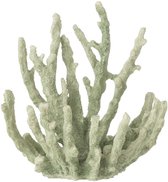 Muntgroene decoratieve polyresin koraal in medium formaat.