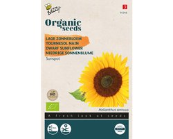 Zonnebloem Laag Sunspot Organic Seeds (Bio)