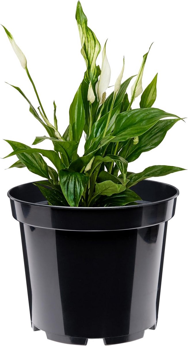 Ronde kunststof bloempot voor binnen en buiten - 36 cm