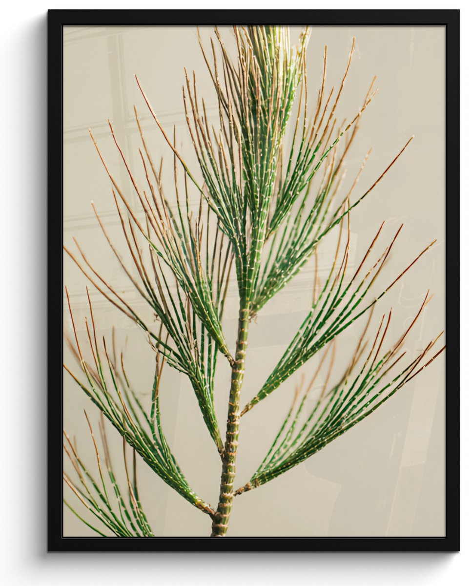 FrameYourWall Poster in lijst - Fotolijst 50x70 cm - Posters - Dennentak - Naaldvormige bladeren - Lichtgroen - Posterlijst zwart - Decoratie - Wanddecoratie woonkamer - Muurdecoratie slaapkamer