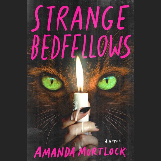 Strange Bedfellows - cover