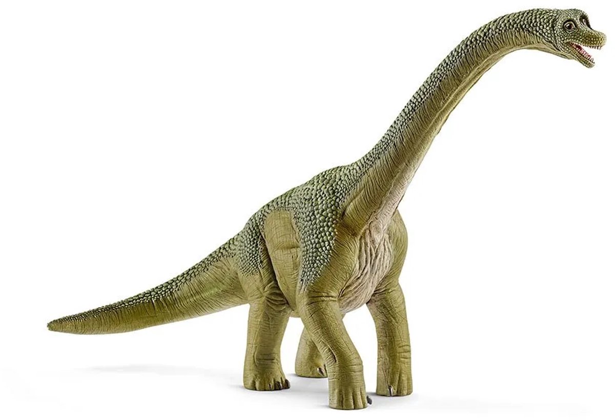schleich DINOSAURUS Speelfiguur - Brachiosaurus - Dino Speelgoed - Kinderspeelgoed voor Jongens en Meisjes - vanaf 4 jaar - 14581 — afbeelding 12