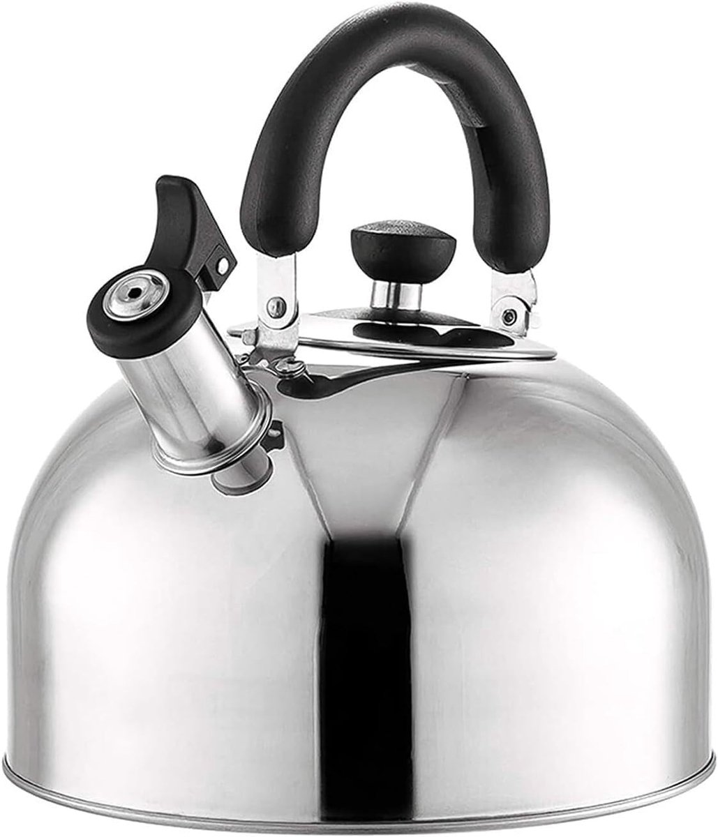 Fluitketel RVS - Waterkoker Kookplaat - Snel Water Koken - Ergonomisch Koel Handvat - 5 Liter