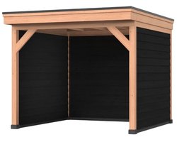 Douglas overkapping, 300 x 250, Met achterwand en zijwand, Westwood DIY